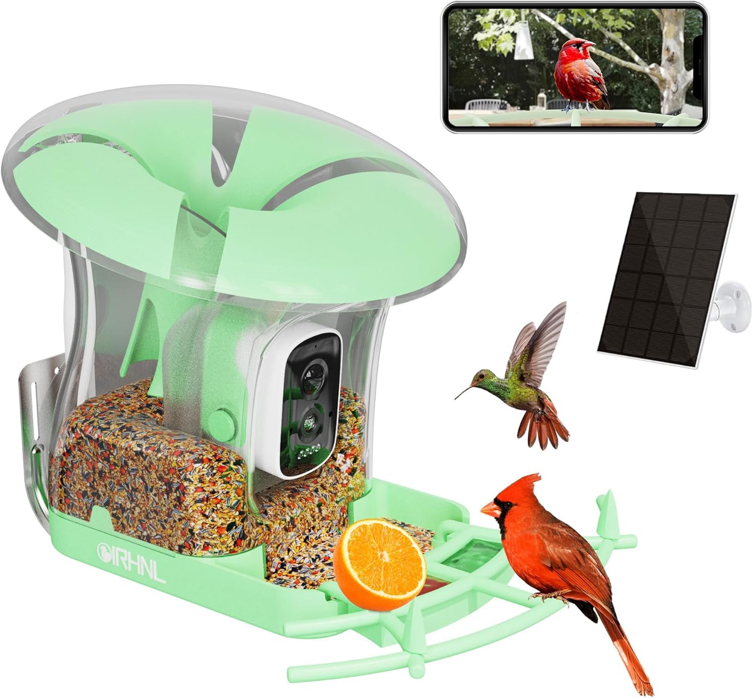 OIRHNL Smart Bird Feeder — AI Camera & Solar Powered
