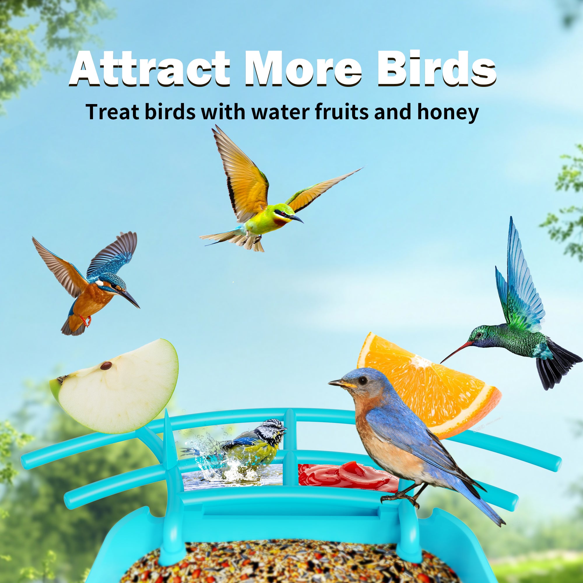 OIRHNL Bird Feeder|Blue