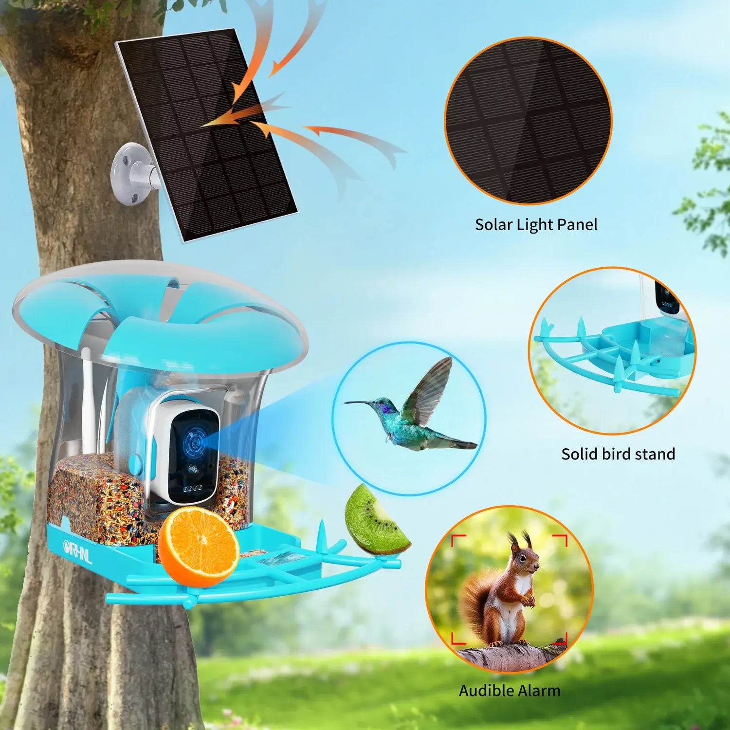 OIRHNL Smart Bird Feeder — AI Camera & Solar Powered - OIRHNL Bird Haven