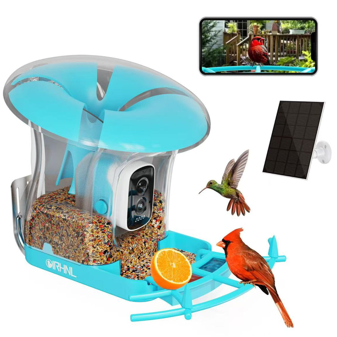 OIRHNL Smart Bird Feeder — AI Camera & Solar Powered
