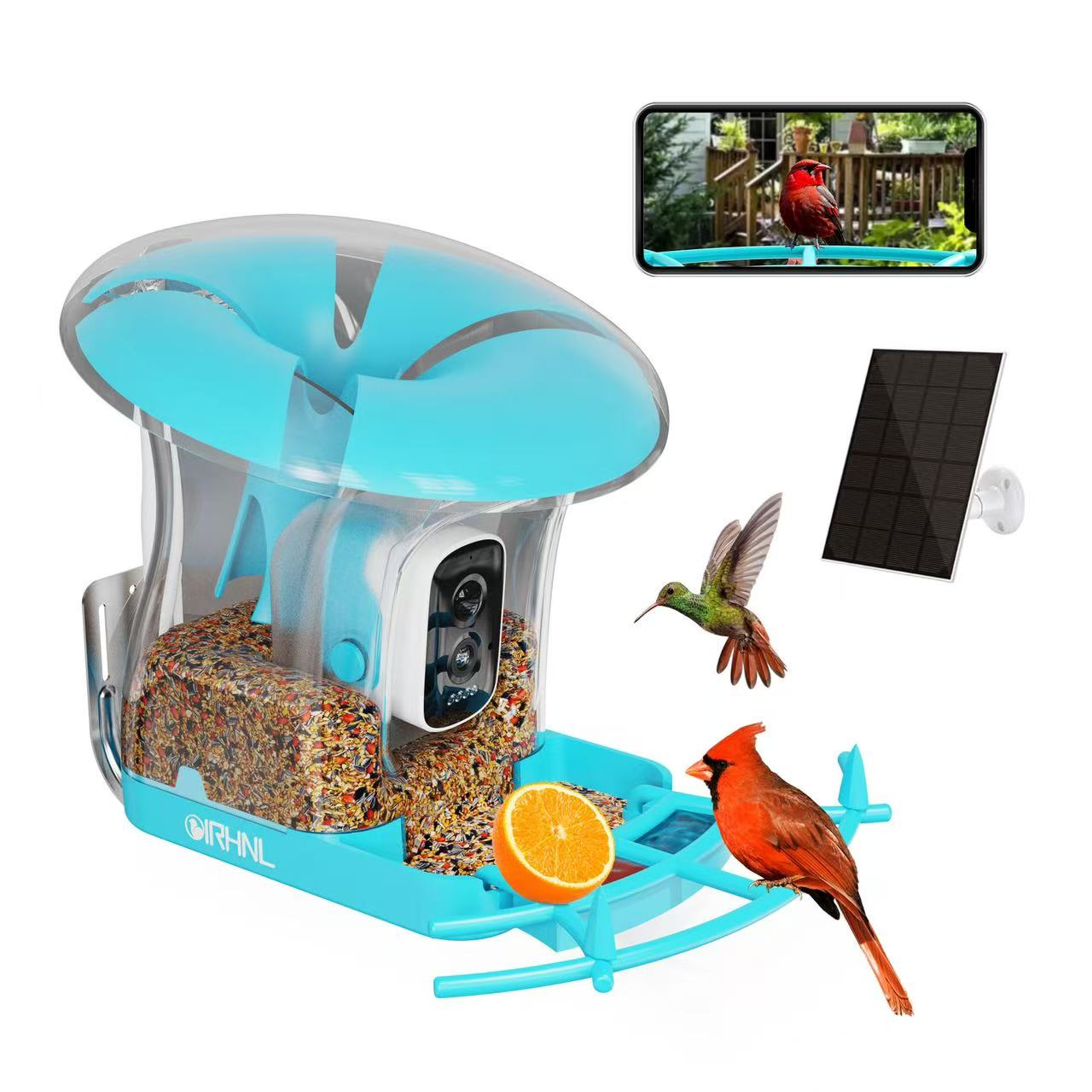 OIRHNL Bird Feeder|Blue